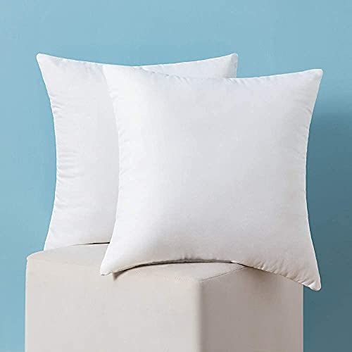 MIULEE Kissen 60x60 cm Füllung 2er Set, Waschbare Kissenfüllung Sofakissen, Polster Innenkissen Dekokissen, Polyester Füllkissen als Couchkissen, Sofa Kissen, Zierkissen, Kisseninlet 60 x 60