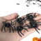 BUKYCAT Spinnen Halloween, 30 Stück Realistische Kunststoff Spinnen Spielzeug, Gruselige Kleine Spinnen Aus Plastik, Kunststoffspinnen, 4x3.2 cm - für Spukhaus Halloween Party Dekorationen (A)