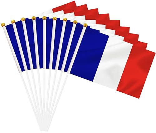 Lot de 50 mini drapeaux français à main avec drapeau français miniature de 21,6 x 14,9 cm, décoration extérieure, décorations de fête, fournitures pour défilés, festivals, événements (France)