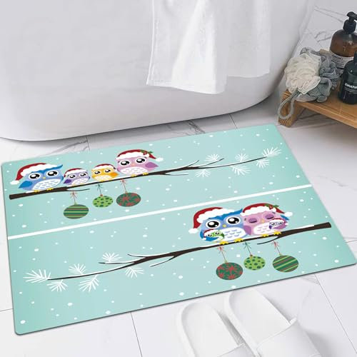 EMFSLA rutschfest Badezimmer Badeteppiche,Weich Hochflor Saugfähig Badvorleger Waschbar Flauschige Mikrofaser Badematte,Paare von Eulen und Vögeln überwintern,60x90 cm
