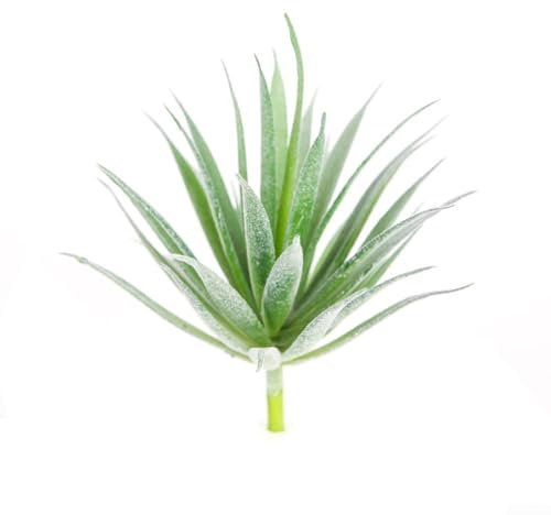 Simulations-Mini-Pflanzenarrangements, perfekt für Brautsträuße und stilvolle Heimdekorationen (Nr. 6)