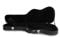 Trayoz Guitar Hard-Shell Wood Case for 39-inch Electric Guitars, T-ST/TL Style Electric Guitar Hard Case with Lock Latch Padding & Soft Lining (Black)