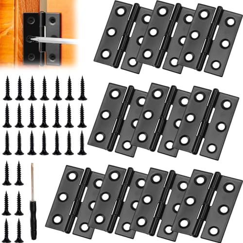 Acciaio Inox Cerniere, Cerniere Ribaltabili Pieghevoli, Cerniera a Vite inox, Cerniere a Testa in Acciaio, Confezioni Porta Cerniere, Cerniere Pieghevoli, Cerniere in Acciaio Inossidabile, 10 Pezzi