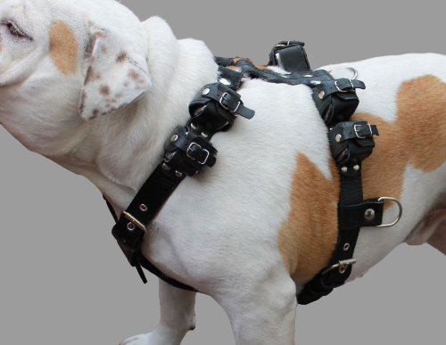 3,6 kg, schwarzes Echtleder-Hundegeschirr, zum Ziehen, für Bewegung und Training, passend für Brustumfang 83,8 - 99,1 cm