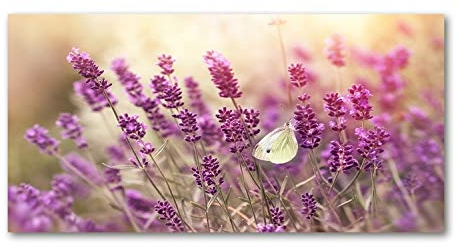 Tulup Spritzschutz Glas Küche 140x70 cm Küchenrückwand Glassplatte Küche Herd Küchenrückwand aus Echtglas Abdeckplatte - Blumen & Pflanzen - Lila - Lavendel