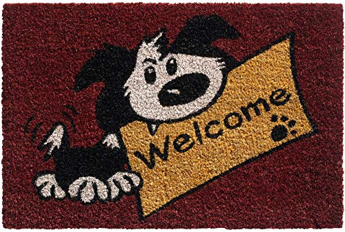 Kokosmatte als innen und aussen-bereich Fußmatte in 40x60 cm - Kokosfaser Türmatte Welcome Spruch Hund als lustige Sauberlaufmatte - Outdoor Fußabstreifer für Haustür, Flur, Garten