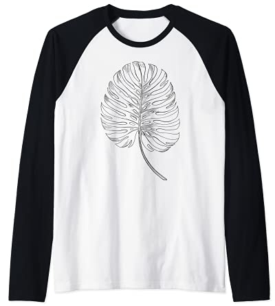 Houseplant Botanical Gardening Monstera Deliciosa Raglan