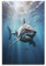 KeAan Shark Poster, Dekoratives Gemälde, Leinwand, Wandkunst, Wohnzimmer, Poster, Schlafzimmer, Gemälde 20x30inch(50x75cm)