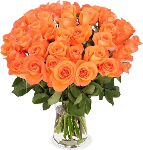 Blume Ideal Rosenstrauß - 40 Rosen - Orange - Ø 40–50 cm - Echte premium Blumen für Hochzeit & Deko - 7 Tage Frischegarantie - in verschiedenen Farben und Mengen
