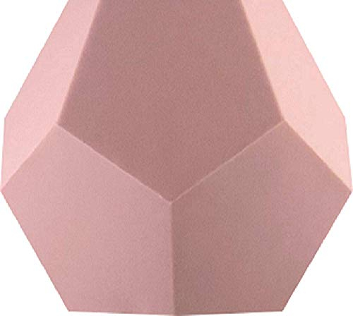 FLYTE Cache Pot pour Lyfe en Silicone Rose