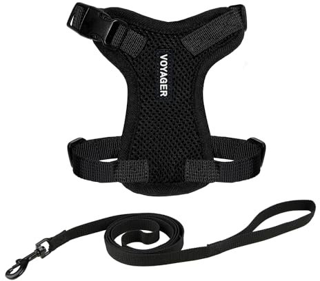 Voyager Step-in Lock Katzengeschirr und reflektierende Katzenleine mit Neoprengriff by Best Pet Supplies - Unterstützt kleine, mittelgroße und große Katzenrassen, Schwarz, size XXS - 1,5 m