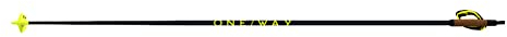 Fischer Langlauf Skistöcke OneWay Storm 6 Dark 30% Carbon Langlaufstöcke (175 cm)