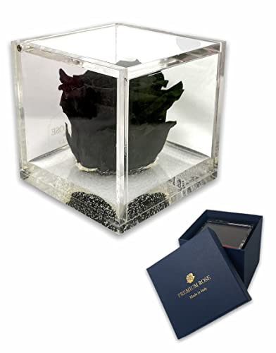 Passionefiori.it S 101 Luxury Rose Stabilizzate Vere in Cubo più Spesso Luxury 8 e Scatola Regalo Lusso, Cubo Rosa stabilizzata Rossa, Idea Regalo per lei, Regalo Donna, Rosa eterna Nera 10cm7