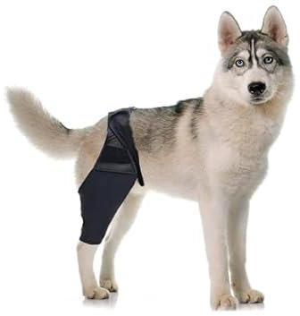 CiCixixi Hunde Kniebandage Hinterbein, Hunde Kniebandage, Hunde Hinterbein Bandage Hunde Klammer Hinterbein Hunde-Kniestütze für Hunde Klammer Hinterbein (L)