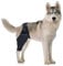 CiCixixi Hunde Kniebandage Hinterbein, Hunde Kniebandage, Hunde Hinterbein Bandage Hunde Klammer Hinterbein Hunde-Kniestütze für Hunde Klammer Hinterbein (L)