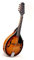 Mandolina Instrumento musical mandolina