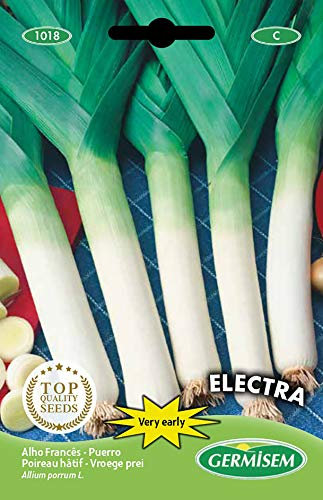 Germisem Electra Semi di Porro 2 g