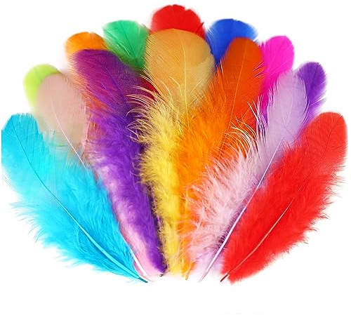 Soarer Bunte Hahnfedern – 300 Stück 7,6–12,7 cm farbige Federn für Kindergarten, DIY-Handwerk, Hochzeit, Party, Dekorationen, Traumfängerzubehör (Hahn, bunt)