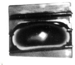 Aftermarket FO51267D - ABDECKUNG FÜR GITTER GRILL STOßSTANGE VORNE RECHTS