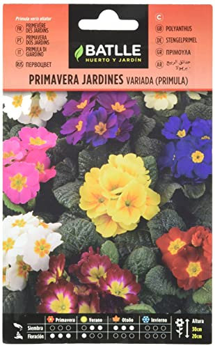Semillas Batlle Primavera Giardini - Primula