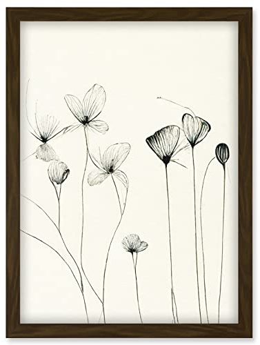 Doppelganger33 LTD Stylish Flower Illustration Line Drawing With Black Ink Artwork Framed Wall Art Print A4