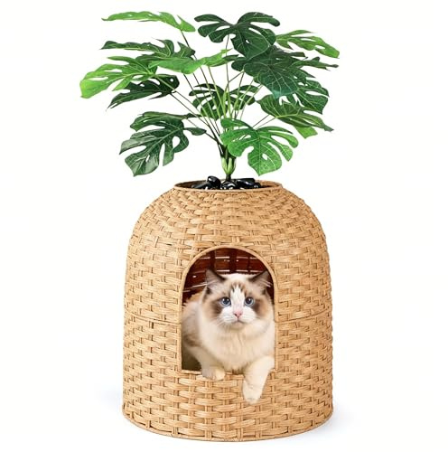 Klippehop Maison de Toilette pour Chat - Meuble Caché Litiere Chat -Naturel (Naturel, Bonsai Edition 2)
