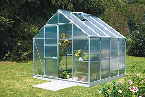 Vitavia Gewächshaus Merkur - Ausführung:6700 HKP 6 mm Alu, Fläche:ca. 6,7 m², Fenster:2, Maße:257 x 258 cm, Sockel:255 x 255 cm,