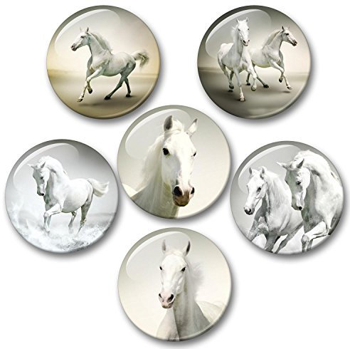 Merchandise for Fans Pferde Schimmel Rappe Fohlen - 6 große Kühlschrankmagnete [ 06 ] für Memoboard Pinnwand Magnettafel Whiteboard