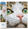 DIAMOND DOTZ DD6.029 - Original 5D Diamond Painting Set Katze mit grünen Augen, Kreativset mit 11.904 Diamant Mosaiksteinen, Malset 35 x 27 cm, DIY Komplettset für Erwachsene und Kinder, Mittel