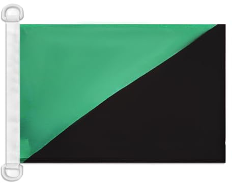 AZ FLAG Anarcho-primitivism Boat Flag 45x30 cm Mesh Polyester Plastic Rings