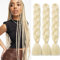 Dcbaboo Braids Extensions Kunsthaar Haare zum Einflechten 3 pack 24 Ombre Jumbo Braiding Hair Kanekalon Haarverlängerungen Zöpfe Afro Crochet Box Braids Haare für Braids 300g, Gebleichtes Blond