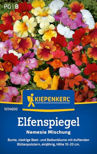 Kiepenkerl Elfenspiegelsamen Nemesia Mischung 1014600 - Einjährige Blume mit einer Wuchshöhe von 10 bis 20 cm und Inhalt für 100 Pflanzen - Blumensamen, Saatgut