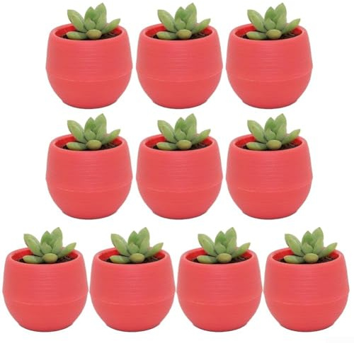 Pot de fleurs décoratif en plastique pour plantes grasses pour embellir votre maison et votre jardin (rouge)