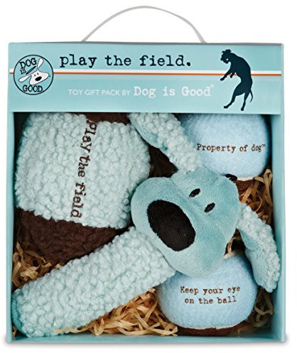 Dog is Good 4-teiliges Hundespielzeug Geschenkbox - Spielfeld Plüschspielzeug ideal zum Apportieren, um Ihren Hund zu trainieren