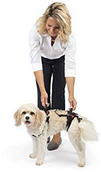 PetSafe CareLift Stützgeschirr – Ganzkörper-Hebehilfe mit Griff – ideal für die Mobilität von Haustieren und ältere Hunde – bequemes, atmungsaktives Material – einfach zu verstellen, Größe S