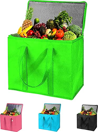Adalex Global 27L Large Cool Cooler Bag and Cooler Box, Insulated Food Delivery Thermal for Hot and Frozen Food, Picnic and Grocery Delivery, Freezer Shopping (22x30x40cm 27L Green)