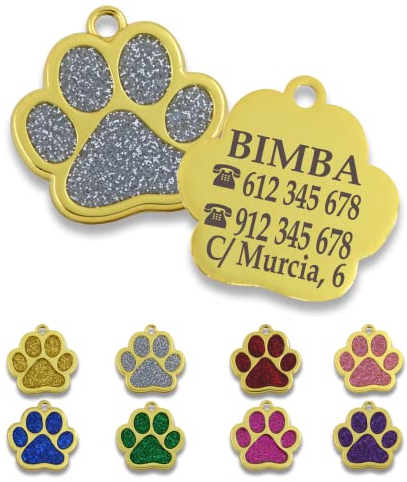 ibera gifts - Chapa Perro Grabada en Forma de Pata para Perros y Gatos Pequeños a Medianos, Placa Perro Personalizada, Metal Dorado con Purpurina, Tamaño 30 x 30 mm (Plateada)