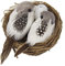 BHFYOB Künstliche Vögel und Vogelnest und Vogel-Set, Miniatur-Ornament