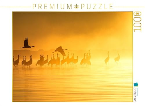 CALVENDO Puzzle Kraniche am Schlafplatz, am Müritzufer | 1000 Teile Lege-Größe 64 x 48 cm Foto-Puzzle für glückliche Stunden