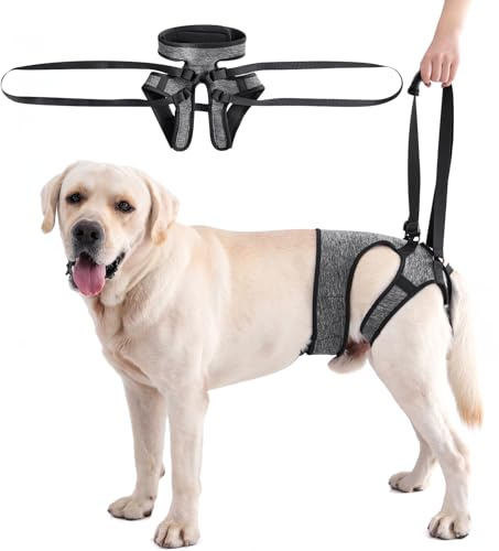 Dotoner Arnés Perro de Soporte Ajustable, Ayuda para Patas Traseras, Sistema de Asistencia para Perros Lesionados o Mayores de Todos los Tamaños