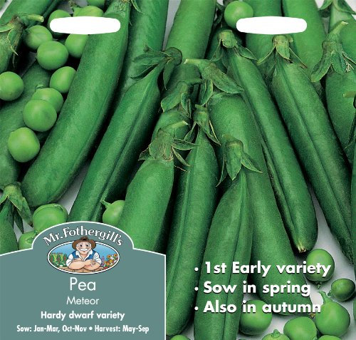 Mr Fothergills - Pictorial Packet - Vegetable - Pea Meteor - 350 Seeds