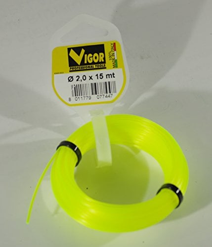 Vigor vigor