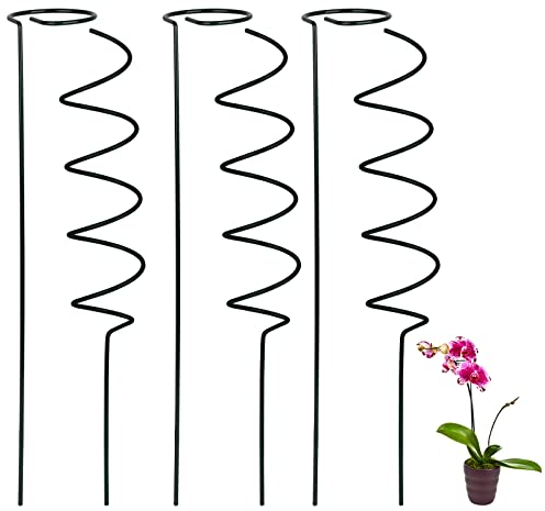 ZXCFTG 3 Stück Stängel Pflanzenstütze, 40 cm Einzelstiel-Blumenstecker und 3 x Spiralstütze, Metall, Einzelstiel-Pflanzenstütze für Orchideen, Gladiolen, Iriss, Dahlien, Rose, Lilie
