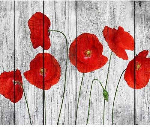 decomonkey - Papier Peint Panoramique Adhésif Fleurs Coquelicots 147x105 cm - Stickers Muraux Chambre Déco Autocollant - Gris marron rouge vert - Bois fleurs coquelicots nature plantes contexte