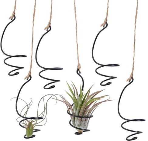 NICENEEDED 6 PCS Hanging Air Plant with Jute Ropes, Hanging Cage Soilless Tillandsia Succulent Display Container, Macrame Holders for Indoor Outdoor Plants