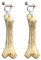 W WIDMANN MILANO Party Fashion 1650B - Ohrringe Knochen, Schmuck, Steinzeitmensch, Urzeit, Neandertaler, Karneval, Mottoparty
