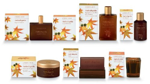 Lerbolario Ambraliquida Raumduft mit Holzstäbchen 125 ml
