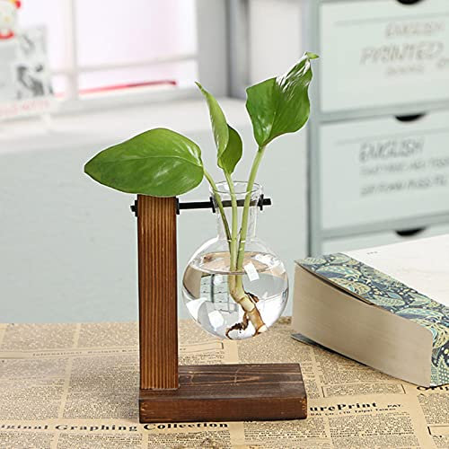 SARGE Terrarientöpfe für hydroponische Pflanzen Blumentopf Vintage transparente Vase Holzrahmen Glastisch Pflanzen Dekorationen für zu Hause Bonsai