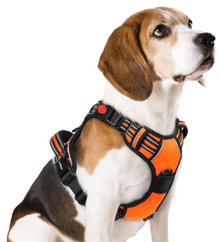 rabbitgoo Hundegeschirr Mittelgroße Hunde, Verstellbare Geschirr Hund ohne Zug & Würgen, Anti Zug hundegeschirr mit Griff, weich Gepolsterte Reflektierende Brustgeschirr, Orange M