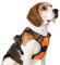 rabbitgoo Hundegeschirr Mittelgroße Hunde, Verstellbare Geschirr Hund ohne Zug & Würgen, Anti Zug hundegeschirr mit Griff, weich Gepolsterte Reflektierende Brustgeschirr, Orange M
